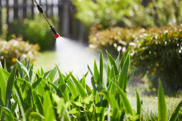 24/7 Emergency Mosquito Control experts in San Marino, CA