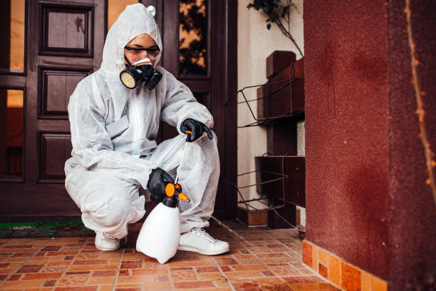 Reliable Mosquito Control contractor in San Marino, CA by Show Me Pest Control